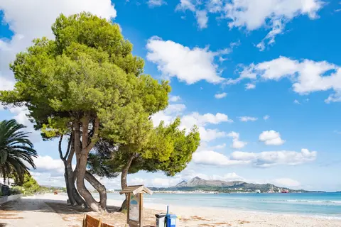 EIX Platja Daurada Hotel & Spa in Santa Margalida — foto 3
