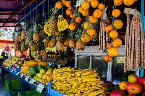 16 dg reis Highlights van Costa Rica excl vlucht in Quesada — foto 4