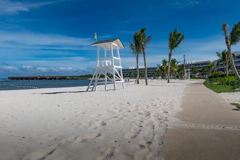 Princess Senses The Mangrove in Harding Hall — foto 4