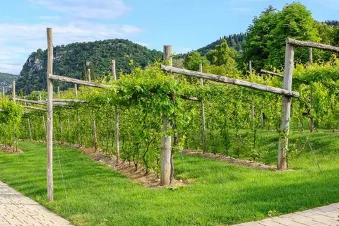 Parc Hotel Germano in Bardolino — foto 22