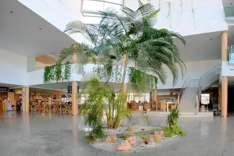 Hotel Neptuno in Roquetas de Mar — foto 21