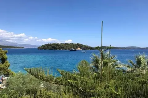 Palm Trees Hotel in Δημοτική Ενότητα Ελλομένου — foto 5
