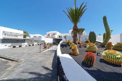 Floresta in Puerto del Carmen — foto 5