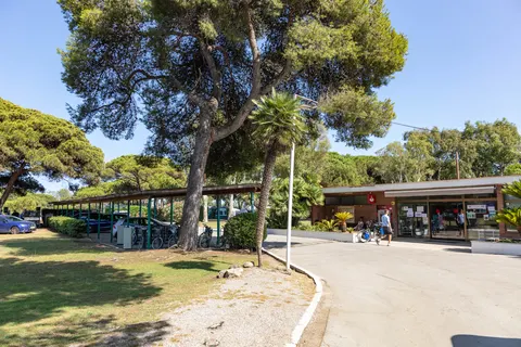 Holacamp Barcelona foto 4