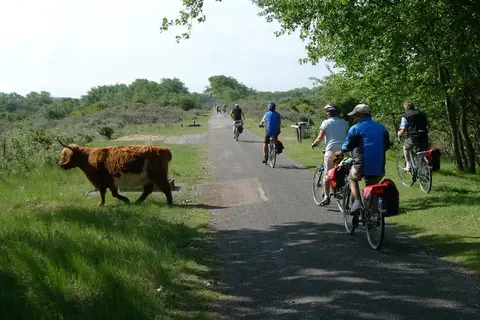 Fietscruise Zuid-Holland en omgeving in Westerveld — foto 17
