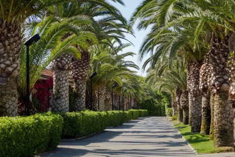 Camping Villaggio Tur. Lido D Abruzzo foto 14