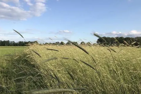 Bed and Breakfast In de Hei foto 9