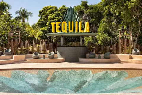 Bahia Principe Escape Tequila in Puerto Aventuras — foto 5