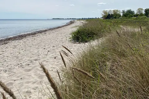 Camping Ajstrup Strand - Aarhus foto 24