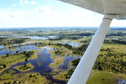 Fly In Luxury Safari Botswana foto 1