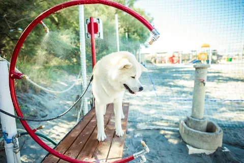 Marina Family Village foto 15