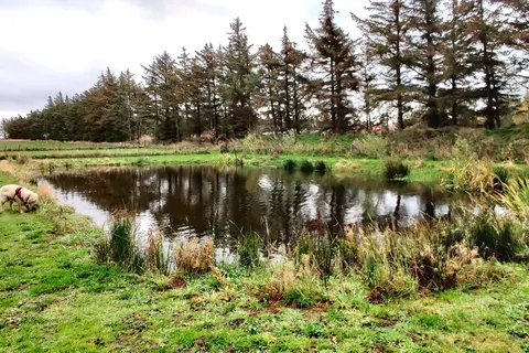 Camping Ballum foto 4