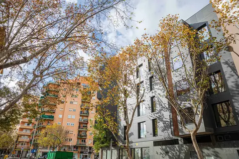 JS Palma Plaza in Palma De Mallorca — foto 2