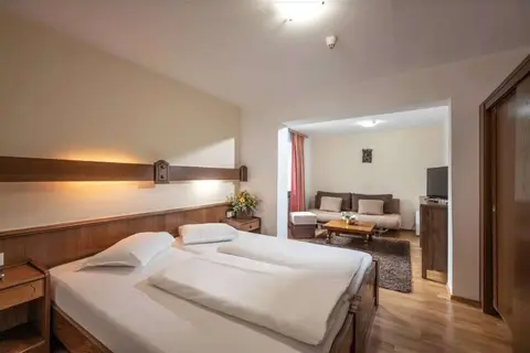 Alpenhotel Edelweiss in Eben am Achensee — foto 10