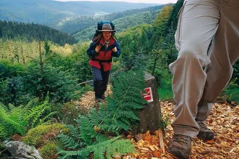 Landgasthof Hotel Hanses-Bräutigam foto 33