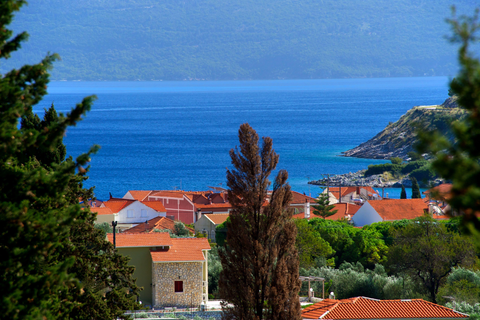 Appartementen Vivi's foto 11