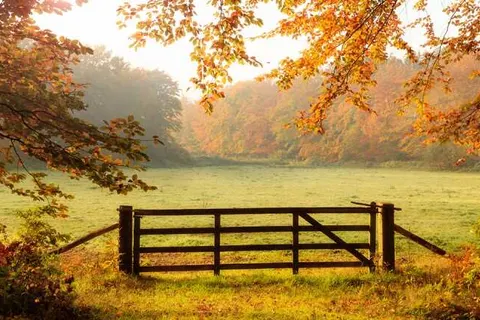 B&B de Wilhelminaschool foto 21