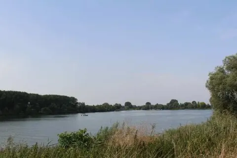 Maaspark de Lithse Ham foto 29