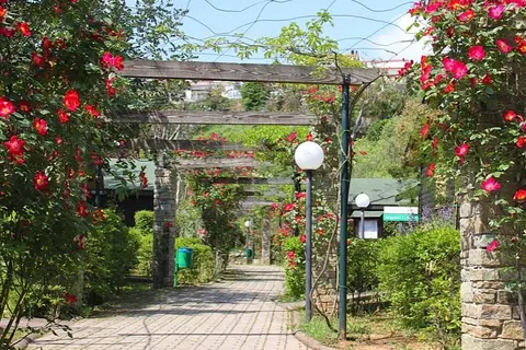 Caravelle Camping Village foto 8