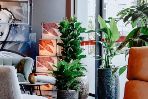 Hotel Vé Mechelen foto 3