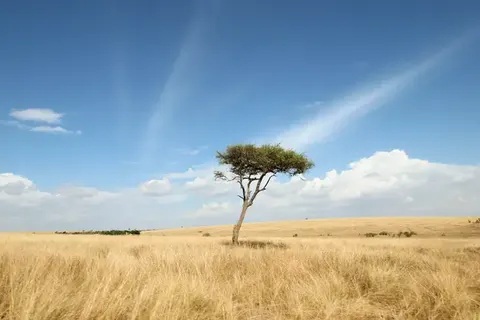 Perfect Match Kenya and Tanzania foto 6