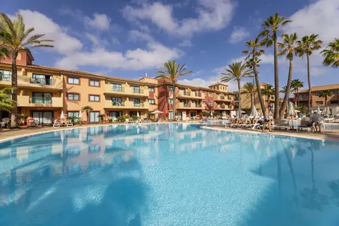 O7 Aloe Corralejo in Corralejo