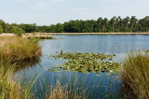 Fietsvakantie De Groote Peel foto 2