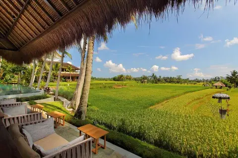 Mathis Retreat in Ubud, foto 10