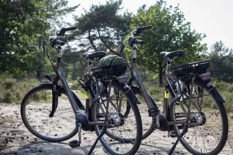 Witte Berken Natuurhotel in Epe — foto 63