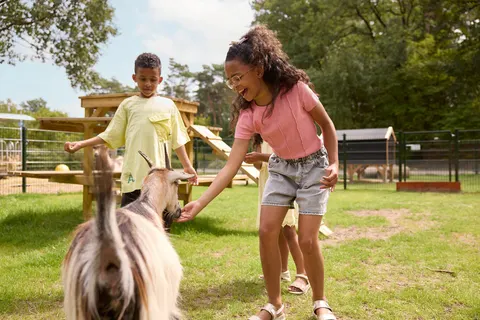 Camping Rcn De Noordster foto 11