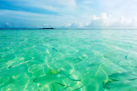 Fihalhohi Maldives in Fihalhohi — foto 16