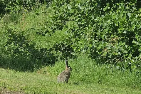 Vakantiepark Ljeppershiem foto 9