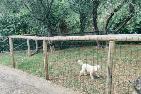 Caravelle Camping Village foto 7