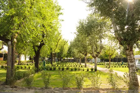 Marina Family Village in Ravenna — foto 14
