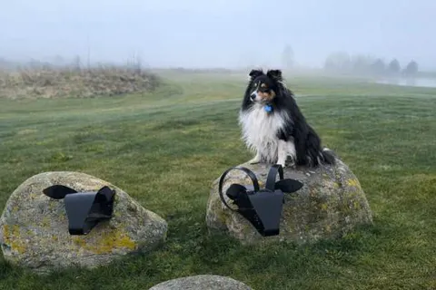 Schloss Krugsdorf Hotel & Golf foto 46