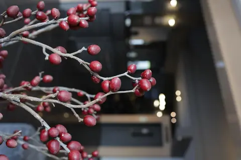 Ruby Rooms Kifisia in Δήμος Κηφισιάς — foto 26