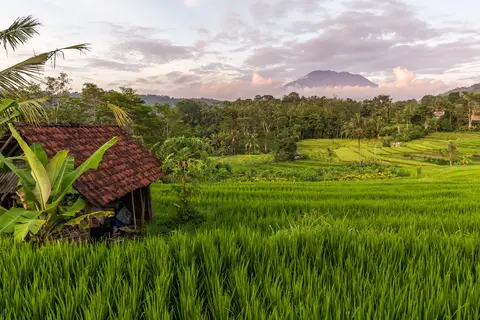 Bijzonder Bali in Surakarta — foto 14