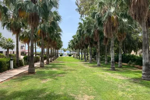 Anmaria Beach Hotel in Αγία Νάπα — foto 11