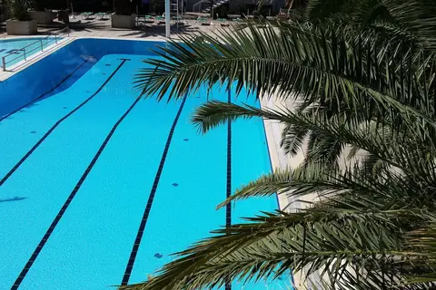 Cormoran in Cattolica, foto 25
