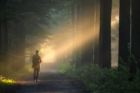 Veluwe Hotel Stakenberg foto 22