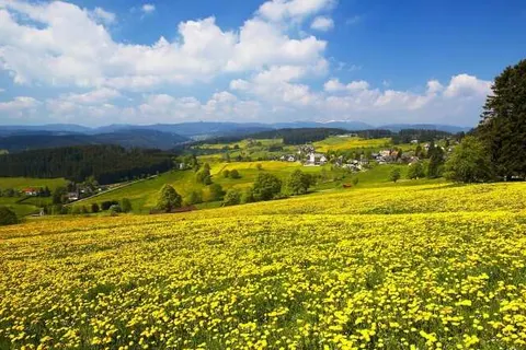 Hotel Restaurant Schwörer foto 14