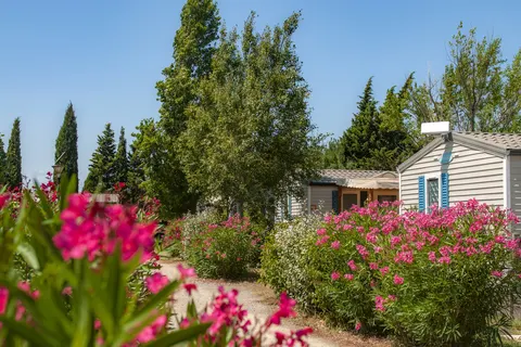 Camping Ensoya foto 16