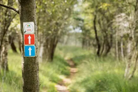 Hotel Nickisch foto 31