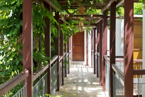 Kalypso Hotel in Δημοτική Ενότητα Μαλίων — foto 14
