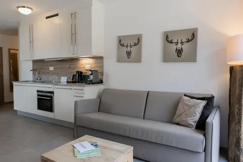 Ski & Golf Suites Zell am See in Zell am See — foto 17