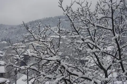 To Balcony Tis Agorianis in Δημοτική Ενότητα Τιθορέας — foto 13