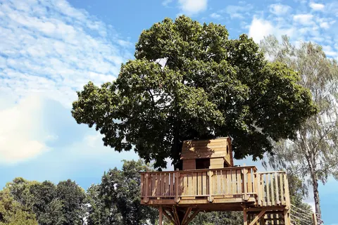 Camping De Meibeek foto 4