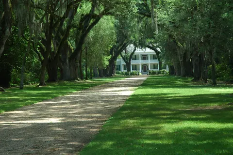 Jazzy Jambalaya Adventure foto 6