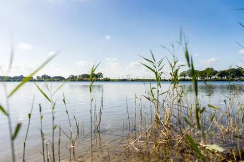 Kraaijenbergse Plassen in Linden — foto 13
