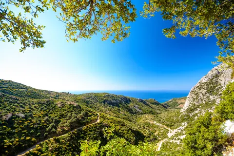 Excursiereis Samos 3* foto 9